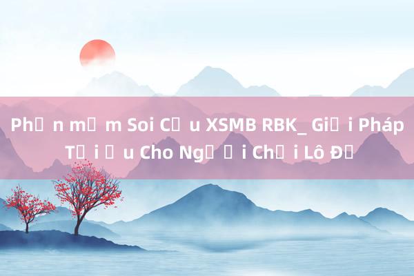 Phần mềm Soi Cầu XSMB RBK_ Giải Pháp Tối Ưu Cho Người Chơi Lô Đề