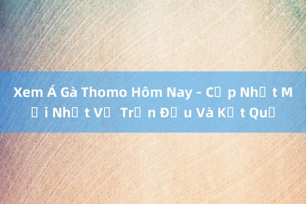 Xem Á Gà Thomo Hôm Nay - Cập Nhật Mới Nhất Về Trận Đấu Và Kết Quả