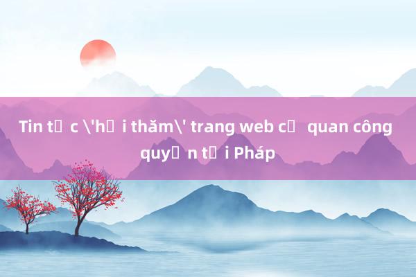 Tin tặc 'hỏi thăm' trang web cơ quan công quyền tại Pháp