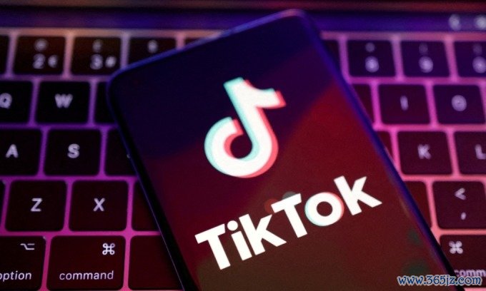 Logo TikTok hiển thị trên một màn hình điện thoại được chụp hồi tháng 8/2022. Ảnh: Reuters